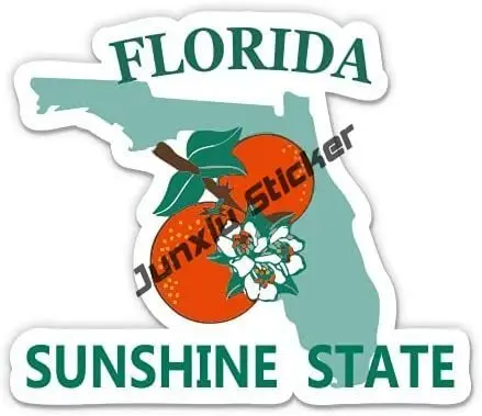 Creativo Florida Flag Sticker  - Laptop Accessories Logo recensione e prezzo