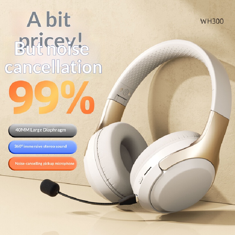 Cuffie Bluetooth wireless over - Laptop Accessories Officeworks recensione e prezzo