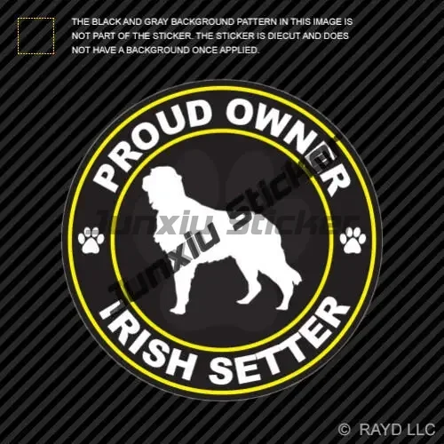 Decalcomania in vinile Irish S - Laptop Accessories Logo recensione e prezzo
